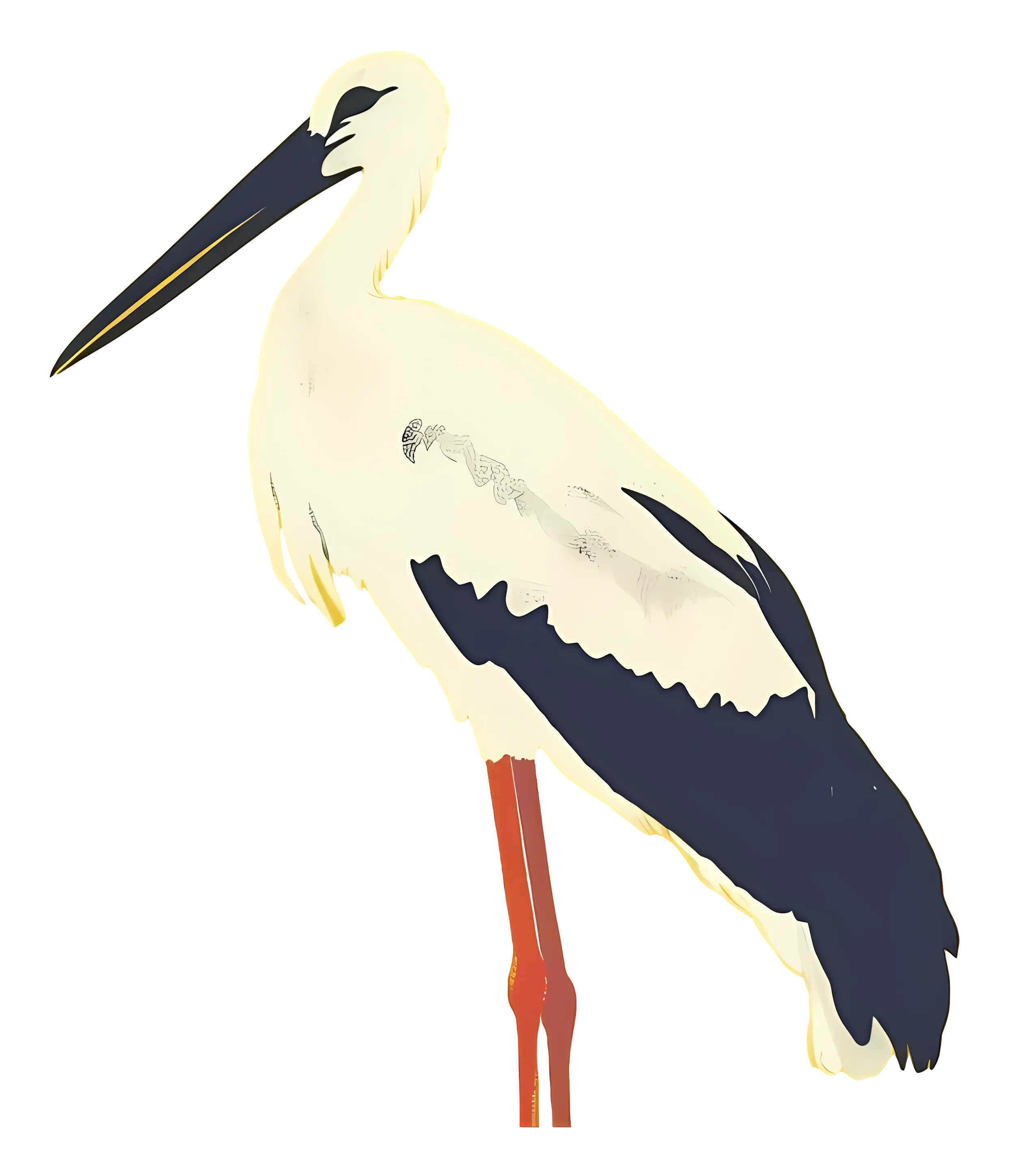 Minimalistic Stork Bird Illustration