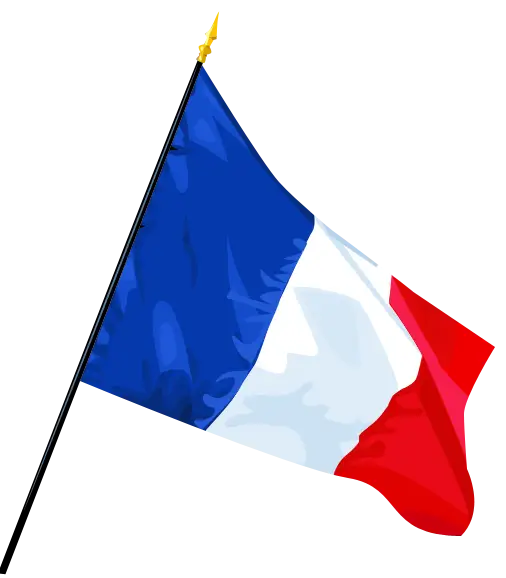 Waving French Flag