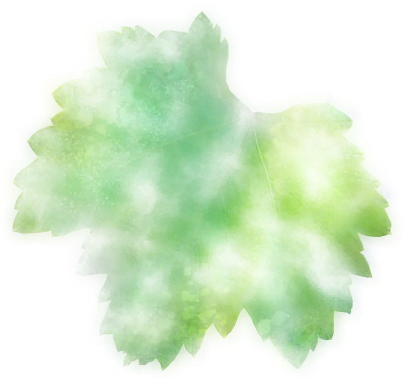 Watercolor Green Leaves Illustration