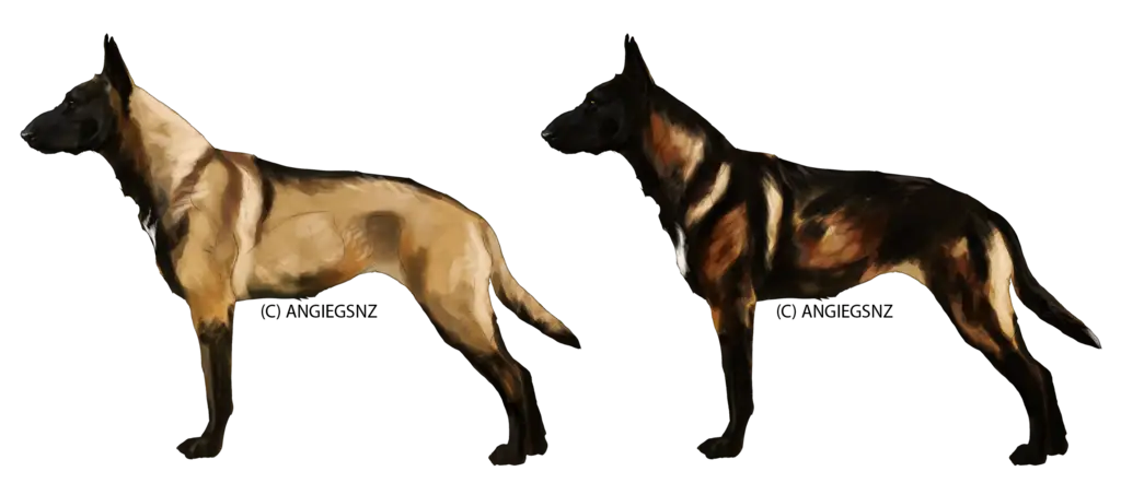 Two Guard Dogs
