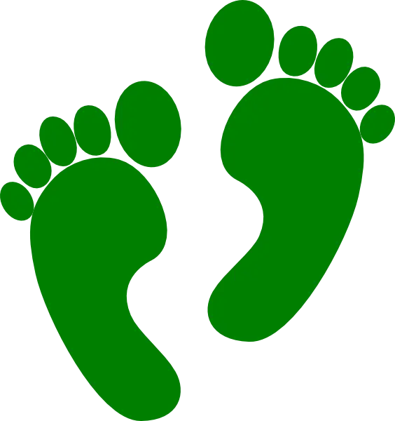 Green Footprints Illustration
