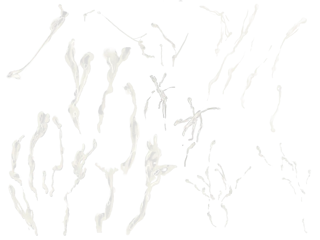 Confetti Decoration