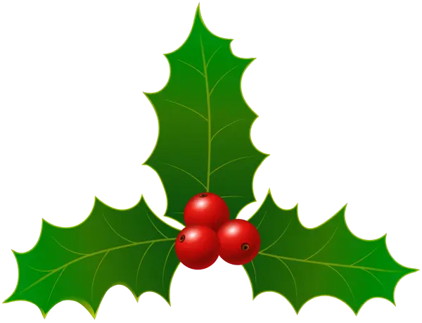 Holly Leaves with Red Berries for Christmas