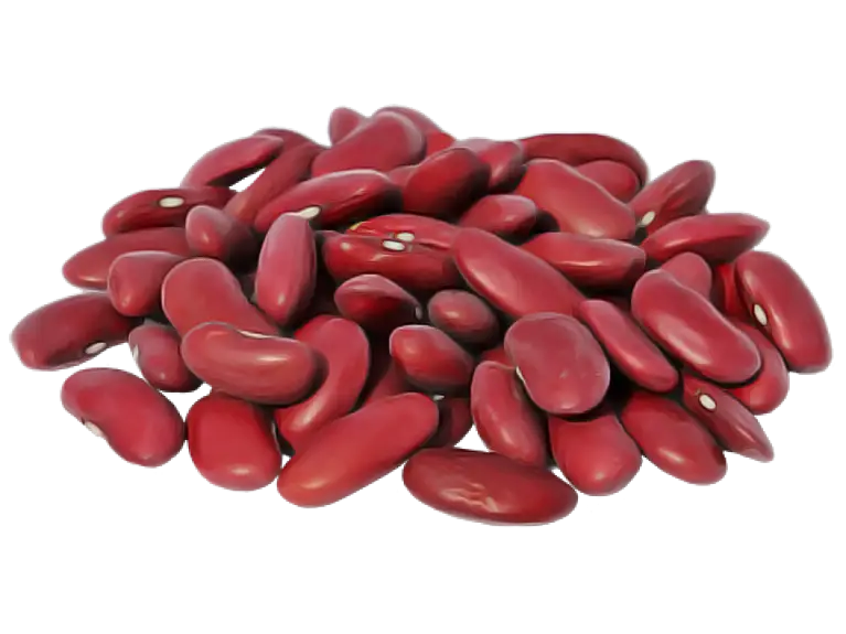 Pile of Red Kidney Beans