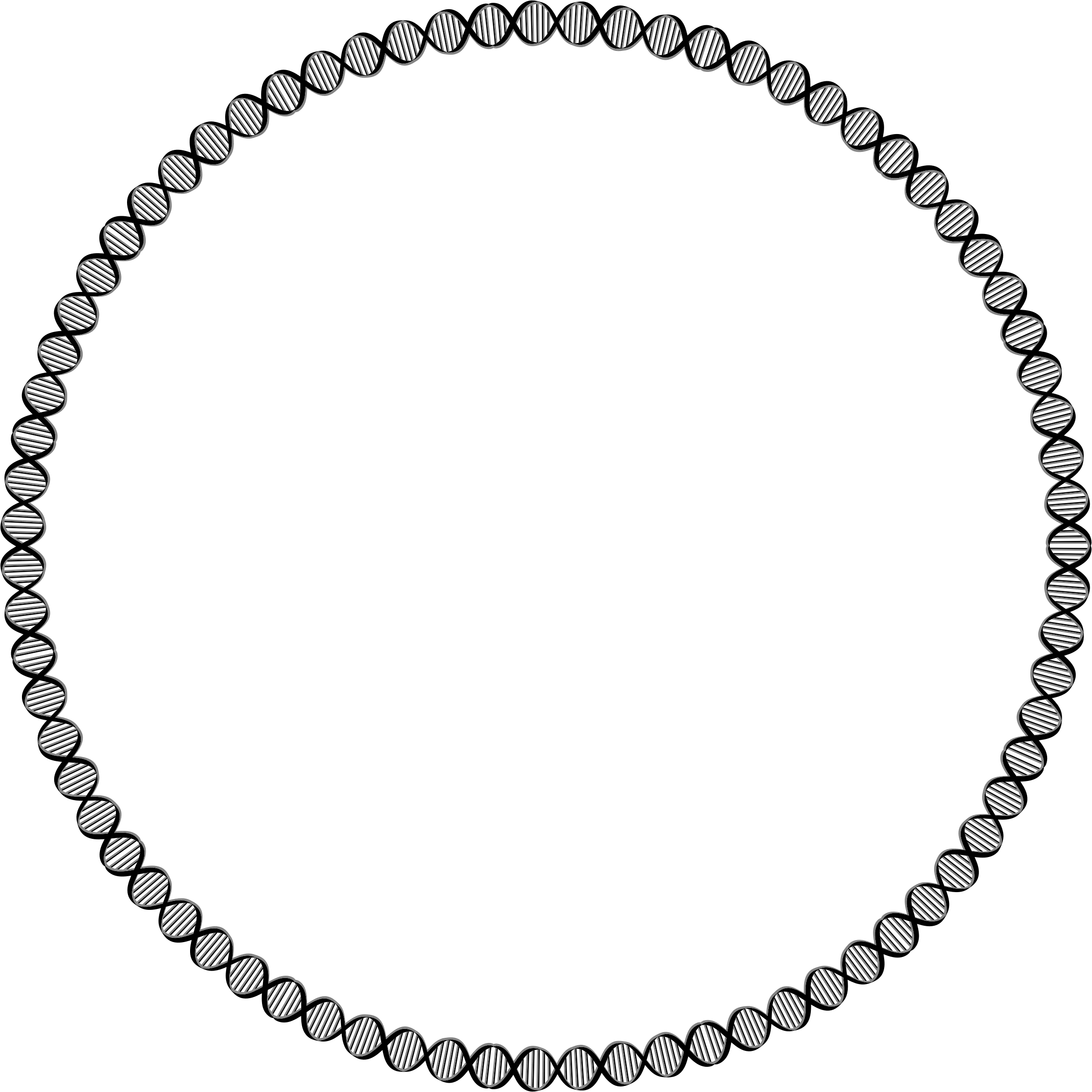 Decorative Circular DNA Frame