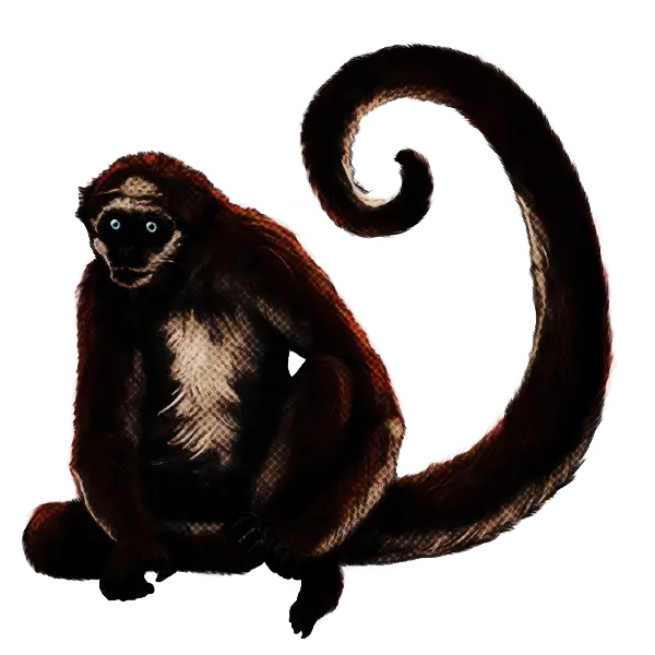 Sitting Monkey with Curled Tail