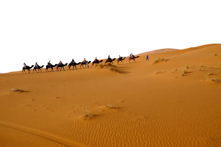 Camel Caravan Traveling Across Desert