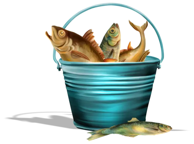 Bucket Filled with Fresh Fish