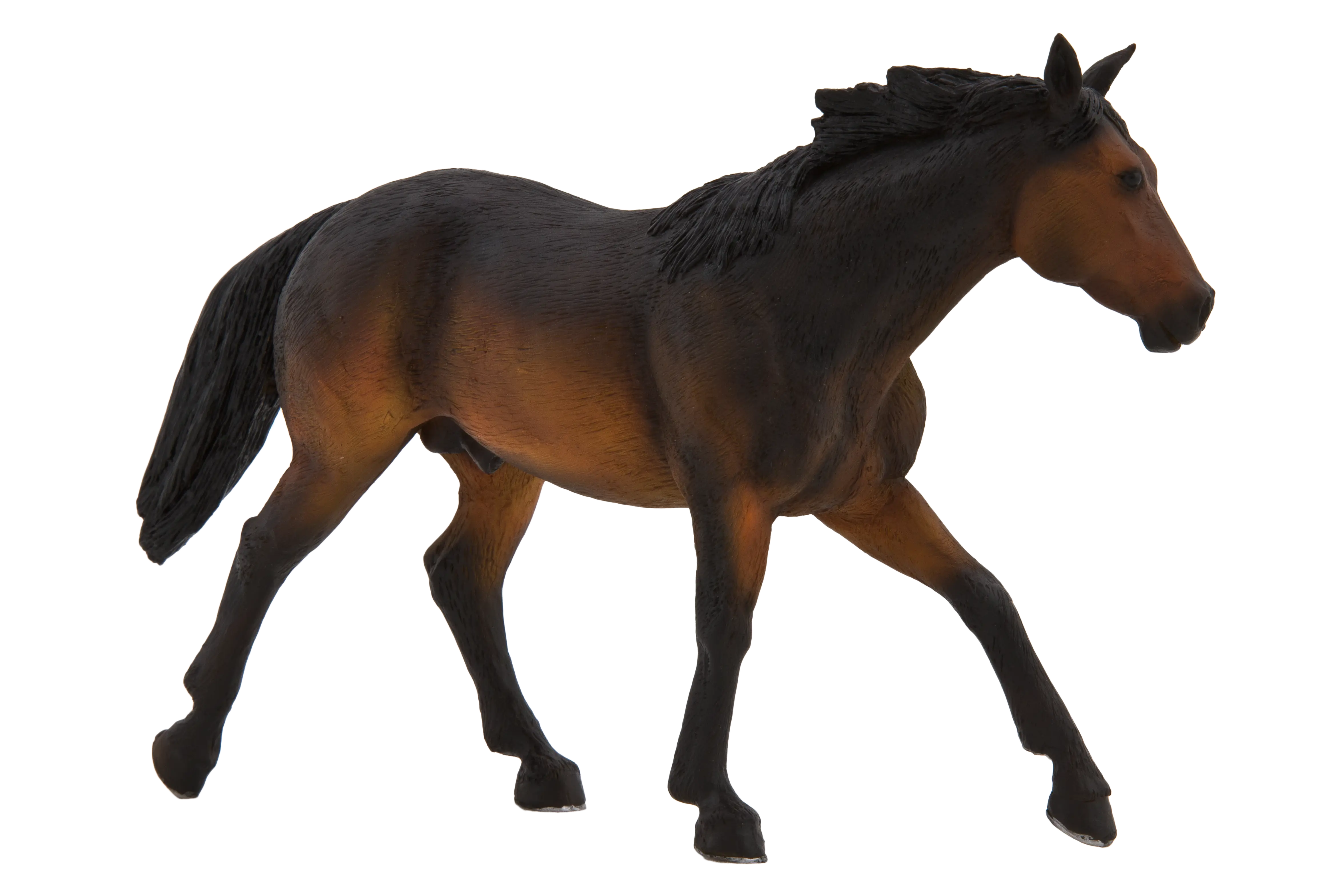 Brown Horse in Motion