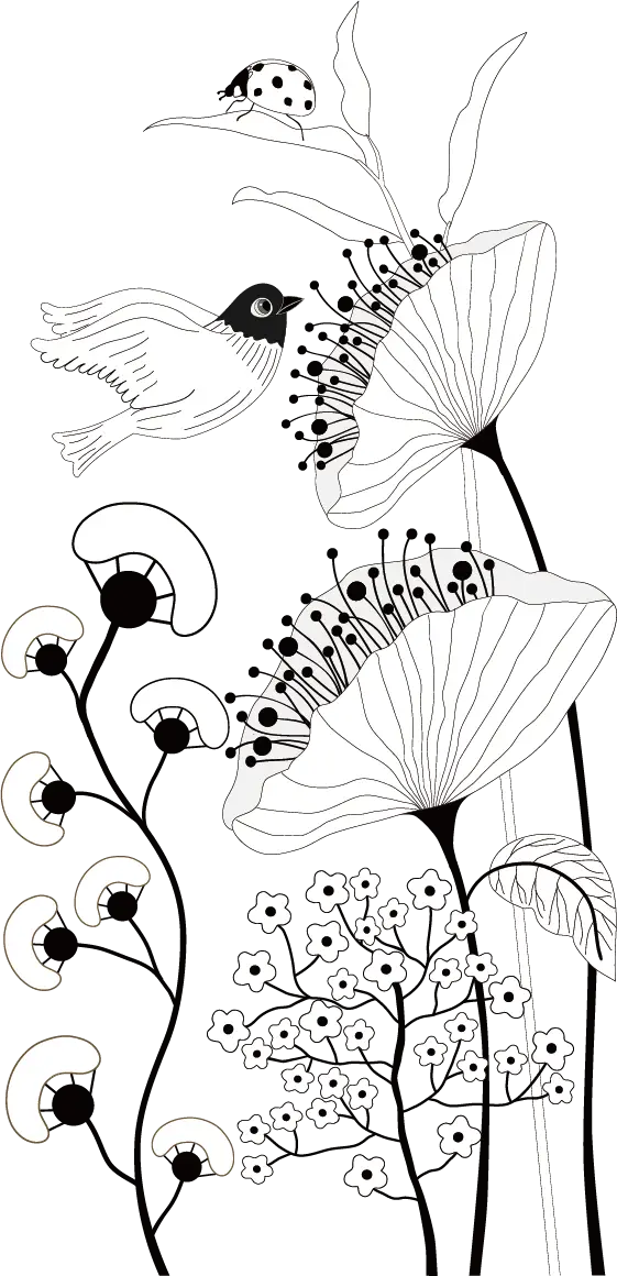 Black and White Floral Illustration with Bird and Ladybug