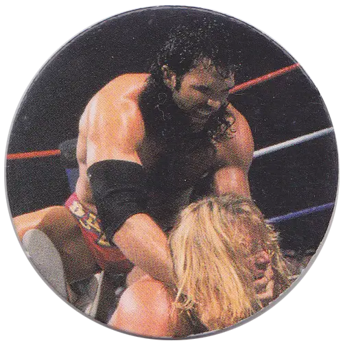 Wrestling Match in the Ring