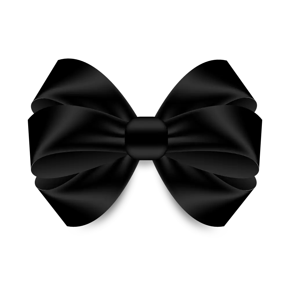 Elegant Black Bow