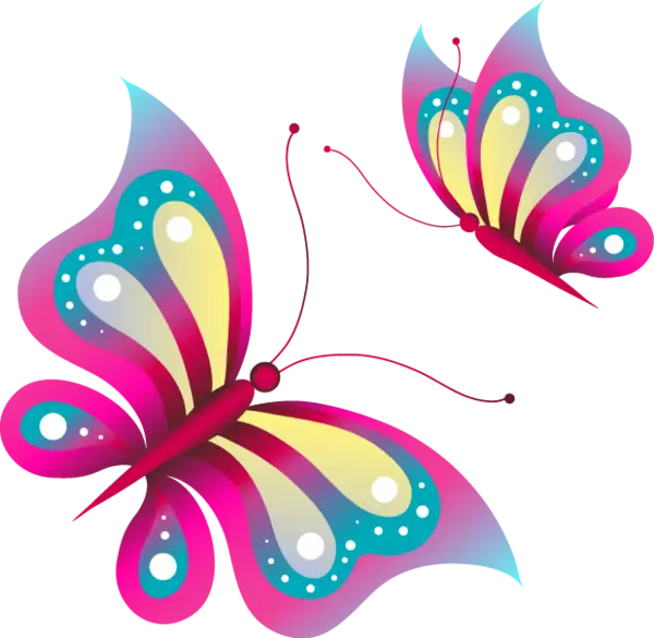 Colorful Butterfly Illustration