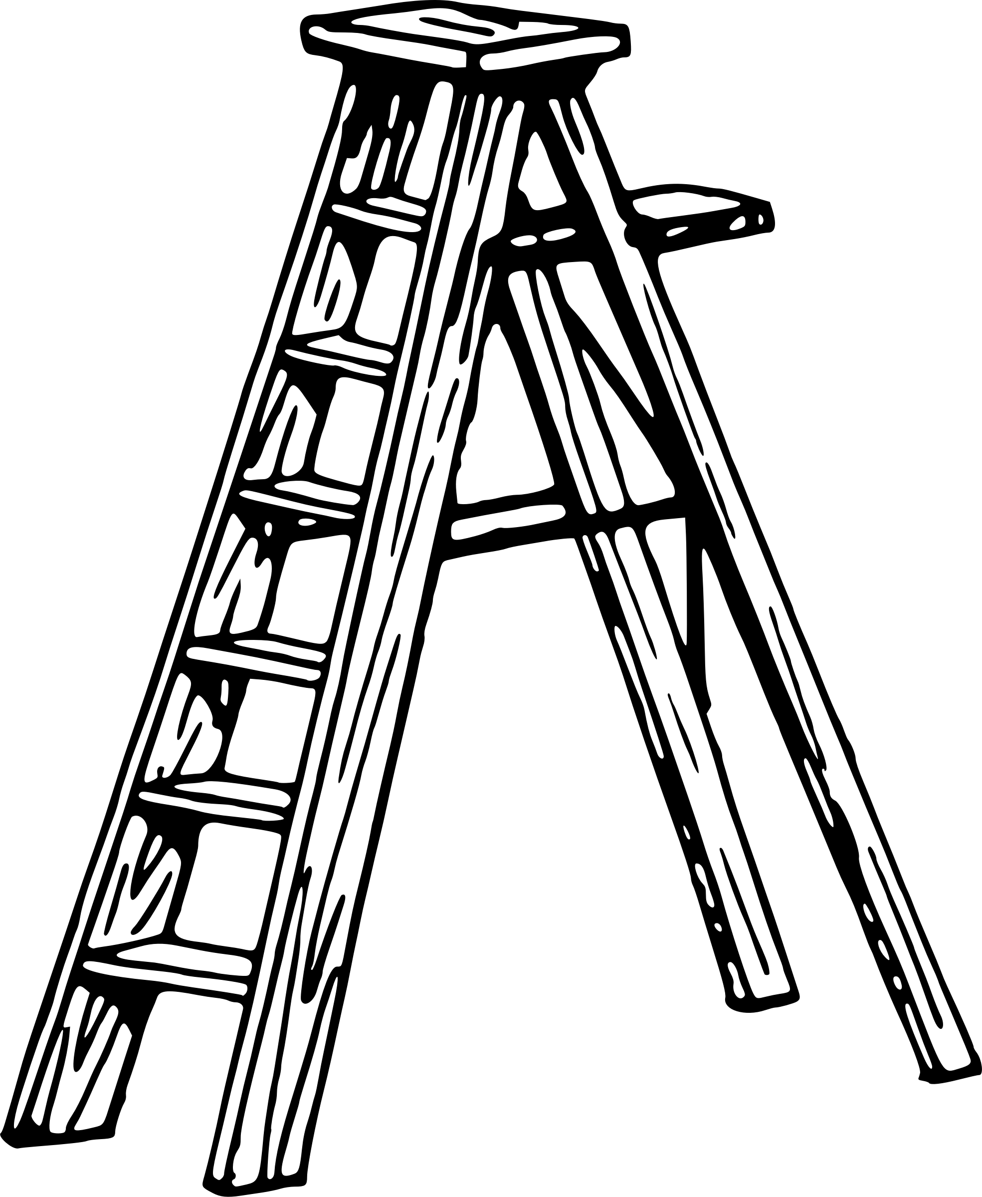 Wooden Ladder for Climbing