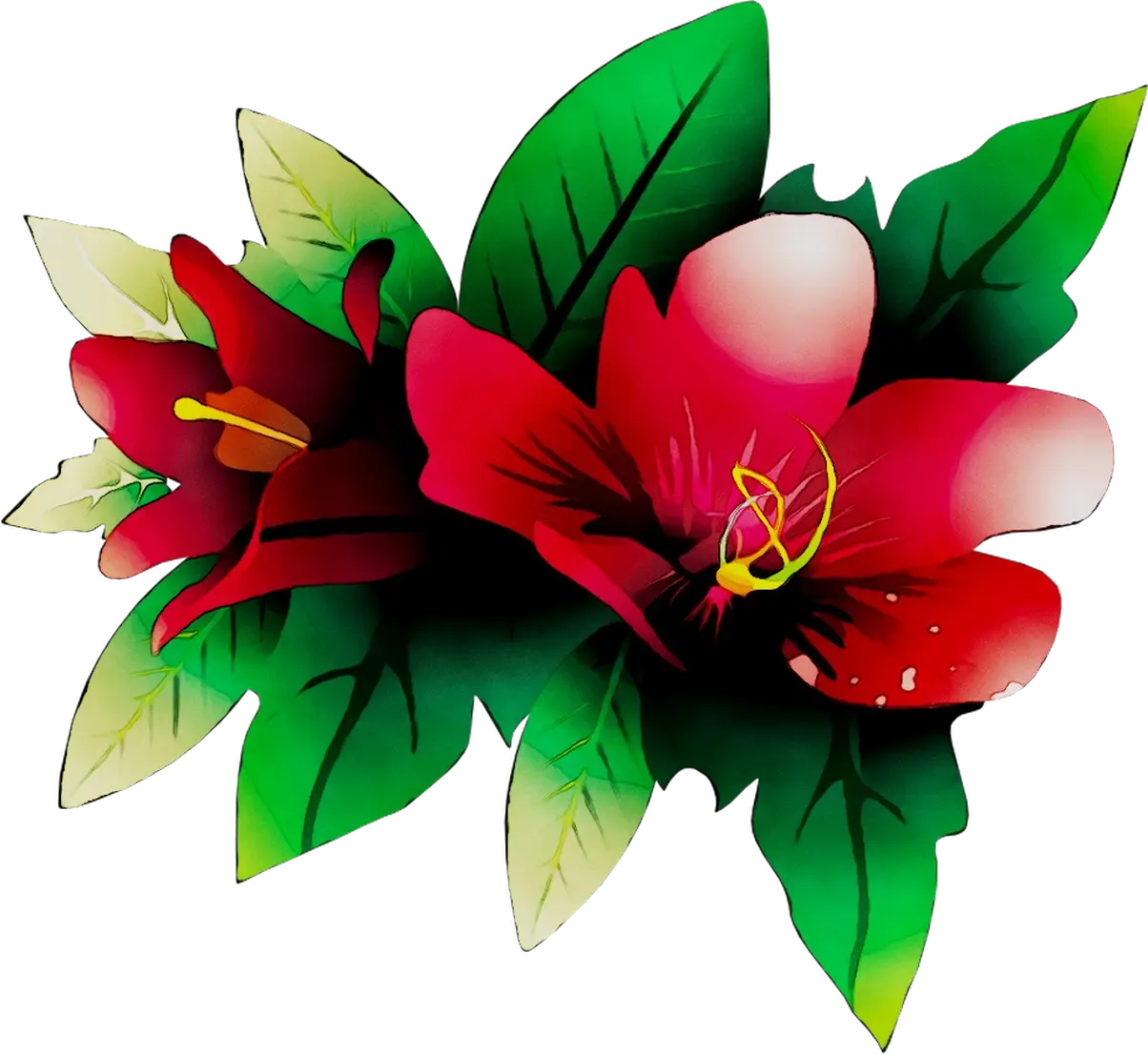 Beautiful Red Hibiscus Flowers with Leaves