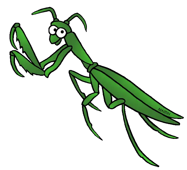 Cartoon Praying Mantis