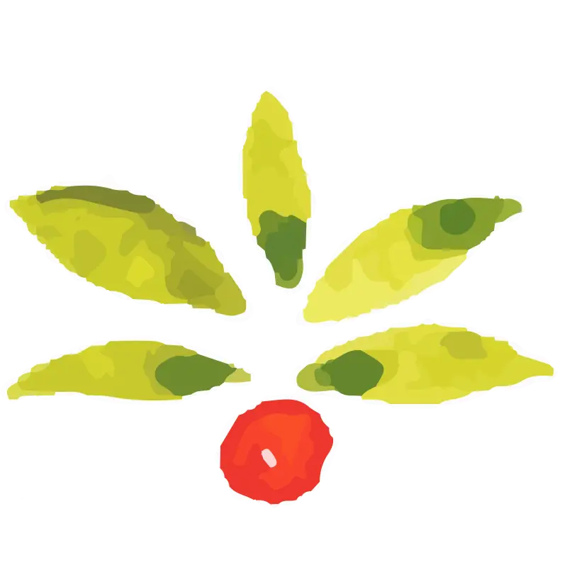 Green Leaves and Red Berry Illustration