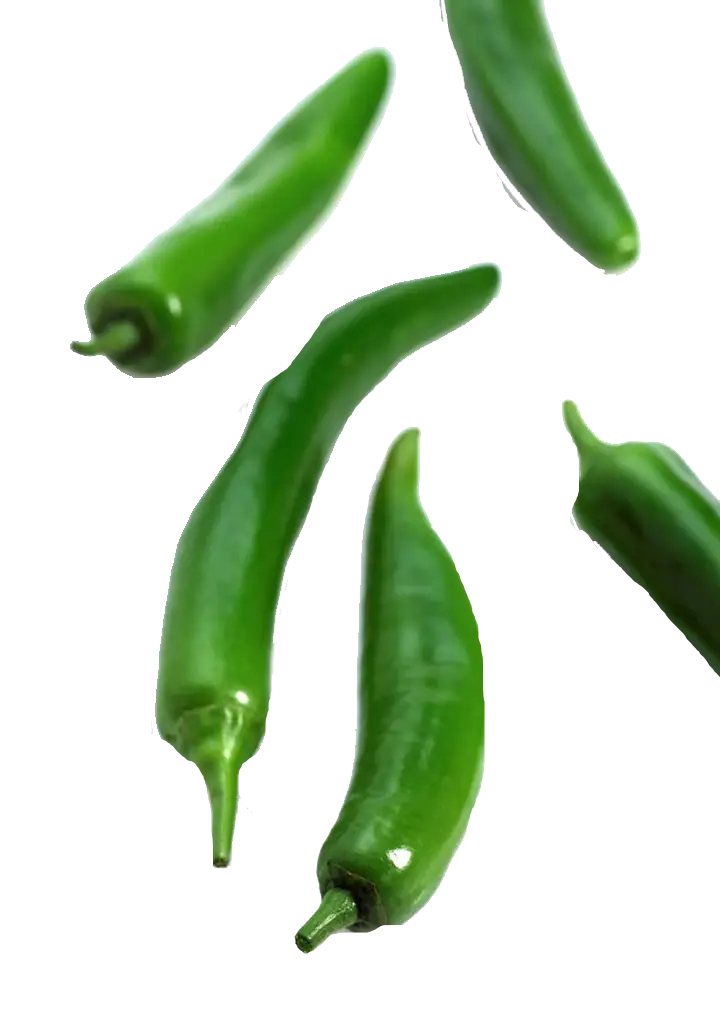 Fresh Green Chili Peppers