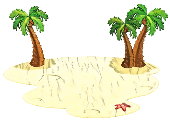 Tropical Beach Scene With Palm Trees and Starfish