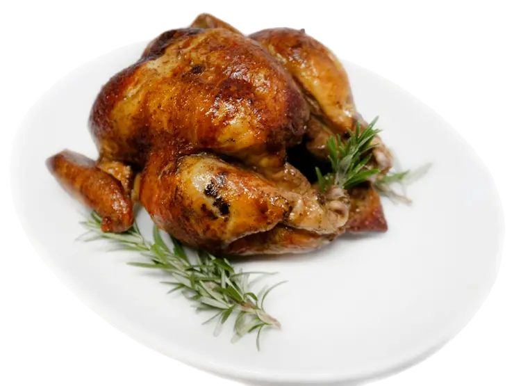 Delicious Roasted Chicken on Plate