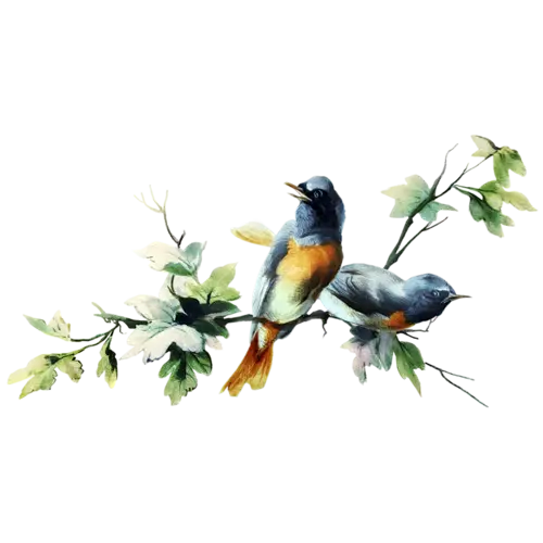 Colorful Birds on a Tree Branch
