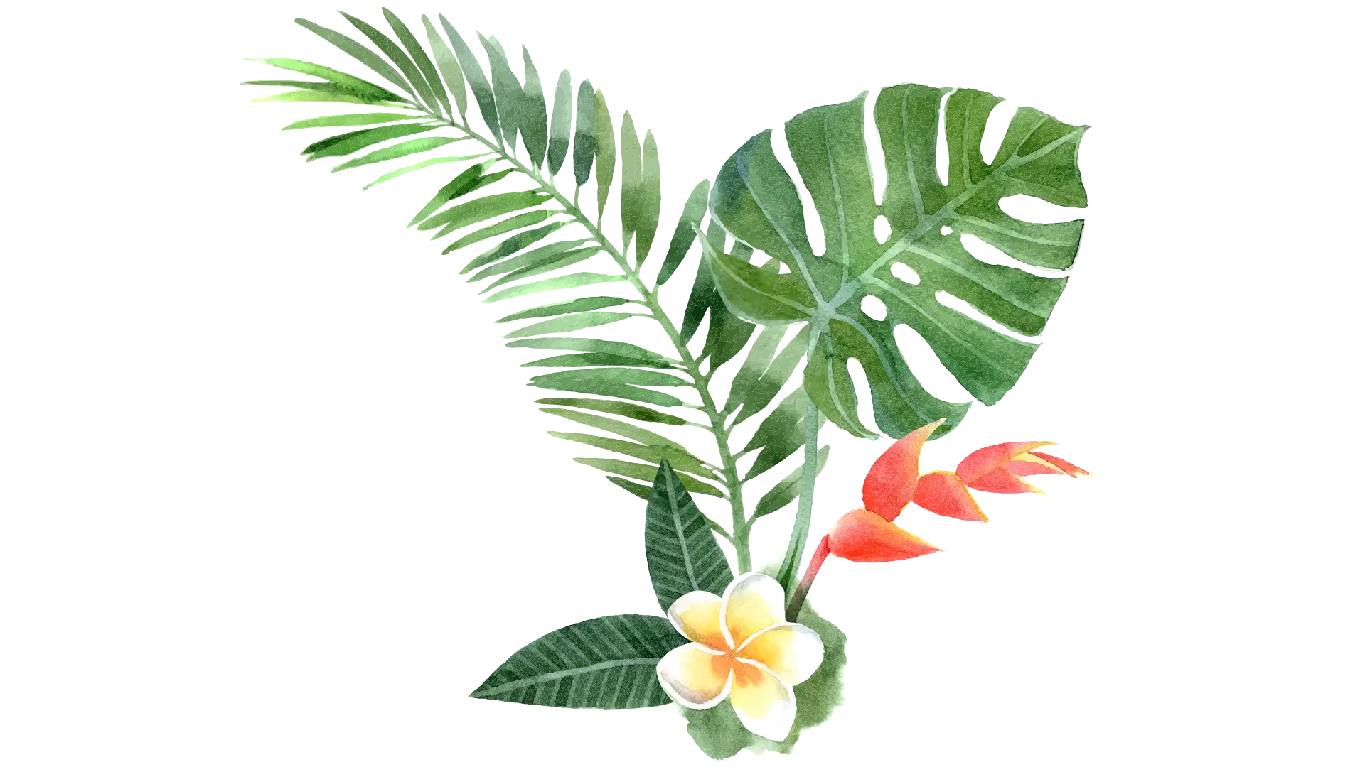 Tropical Leaves and Flowers