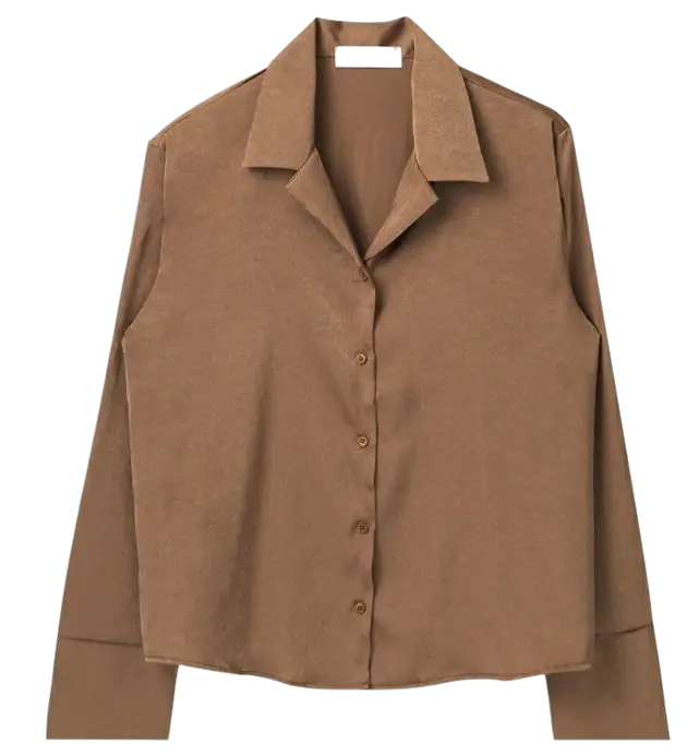 Brown Long-Sleeved Collared Shirt