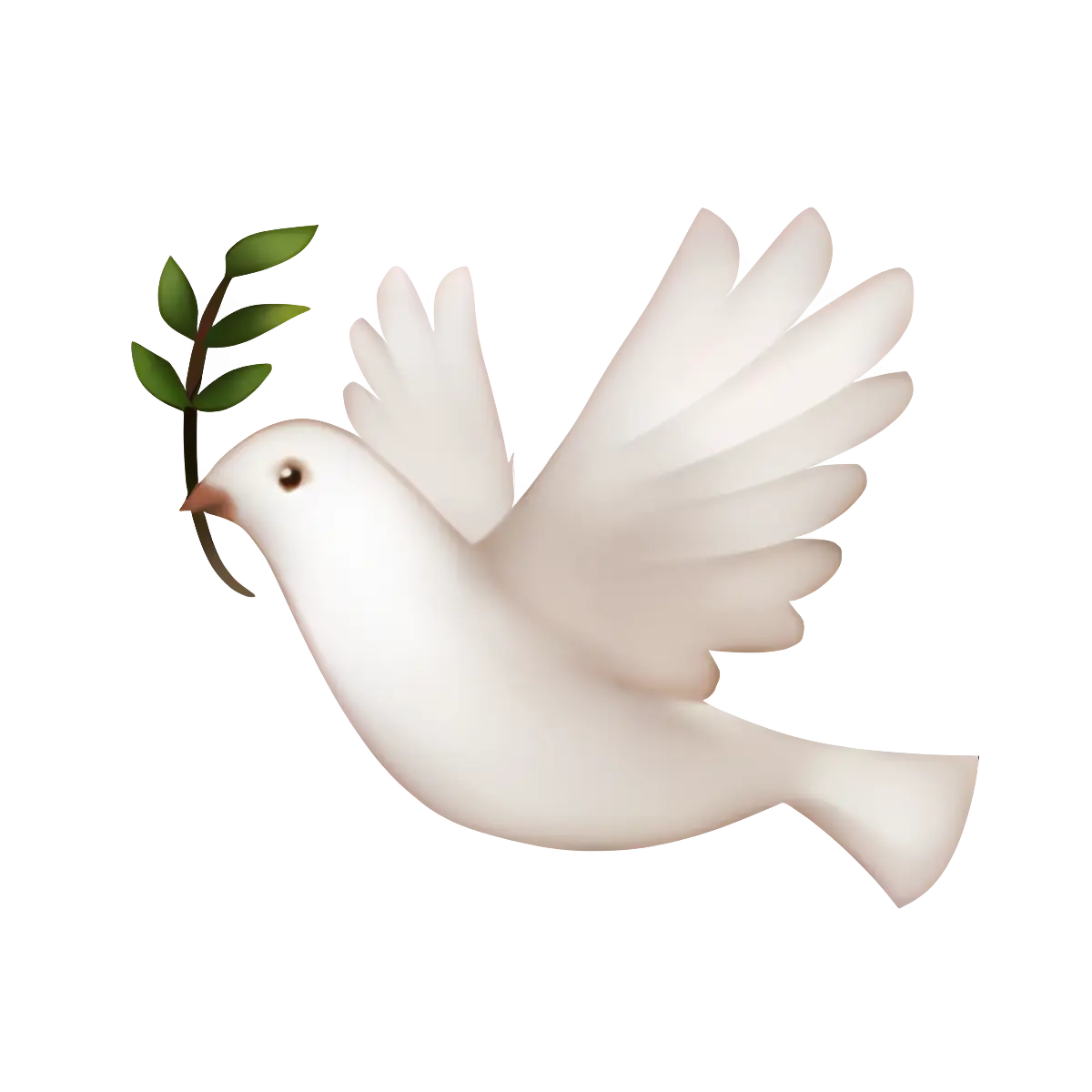 White Dove with Olive Branch Symbol