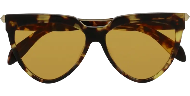 Stylish Tortoiseshell Sunglasses