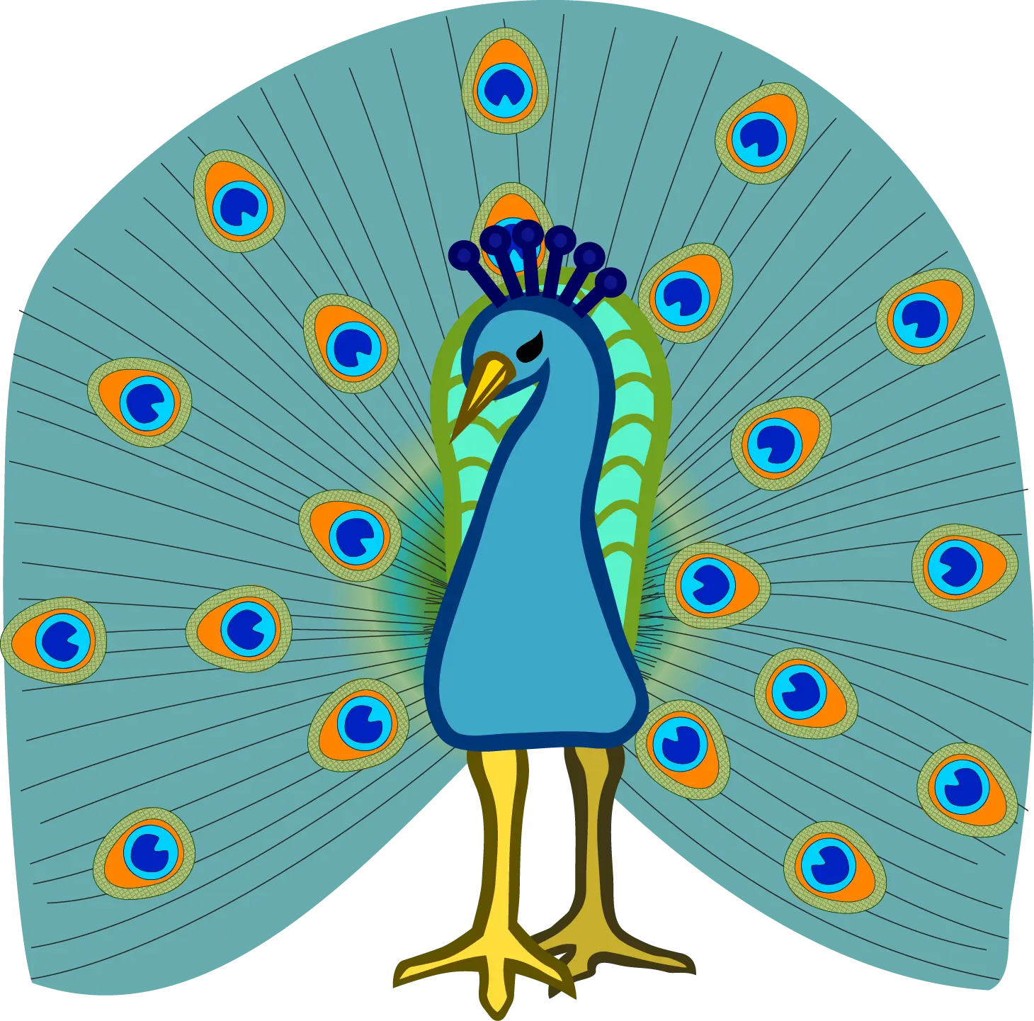 Colorful Peacock with Spread Feathers