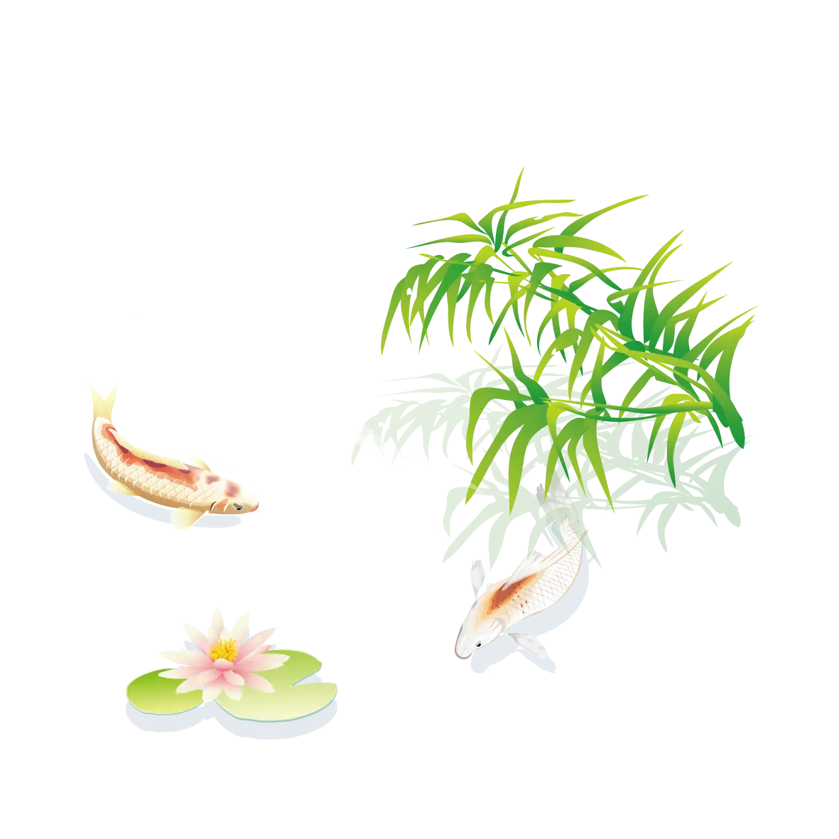 Koi Fish in a Serene Pond