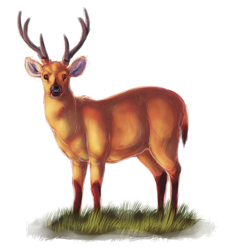 Realistic Deer in Natural Habitat