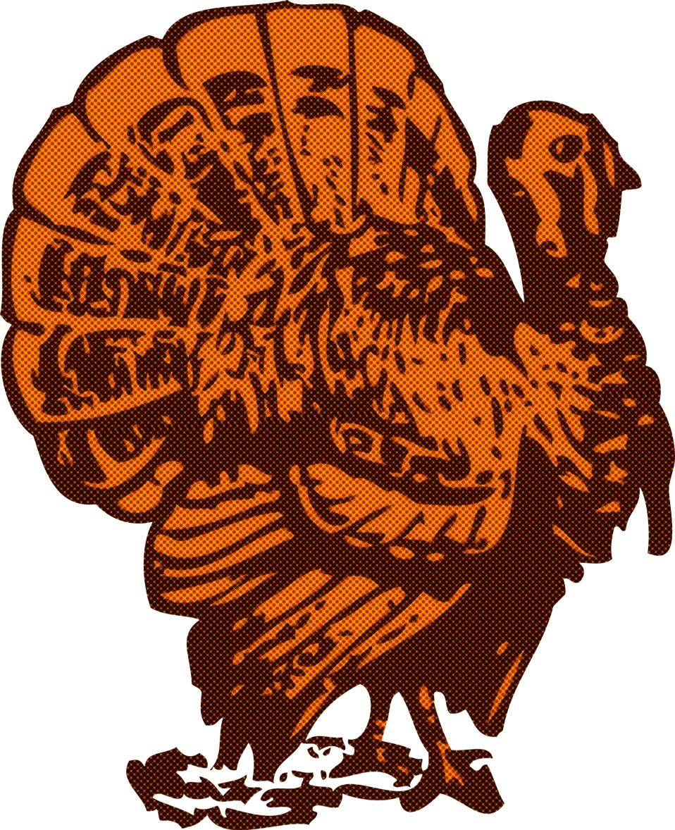 Brown Turkey Illustration for Thanksgiving Season