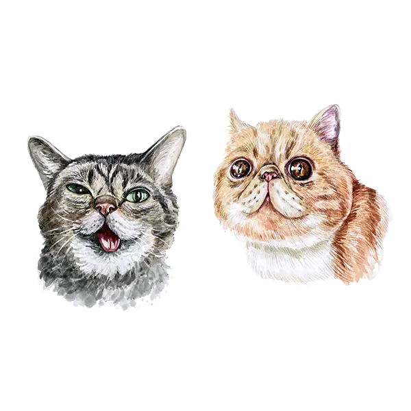 Realistic Cat Faces Illustration