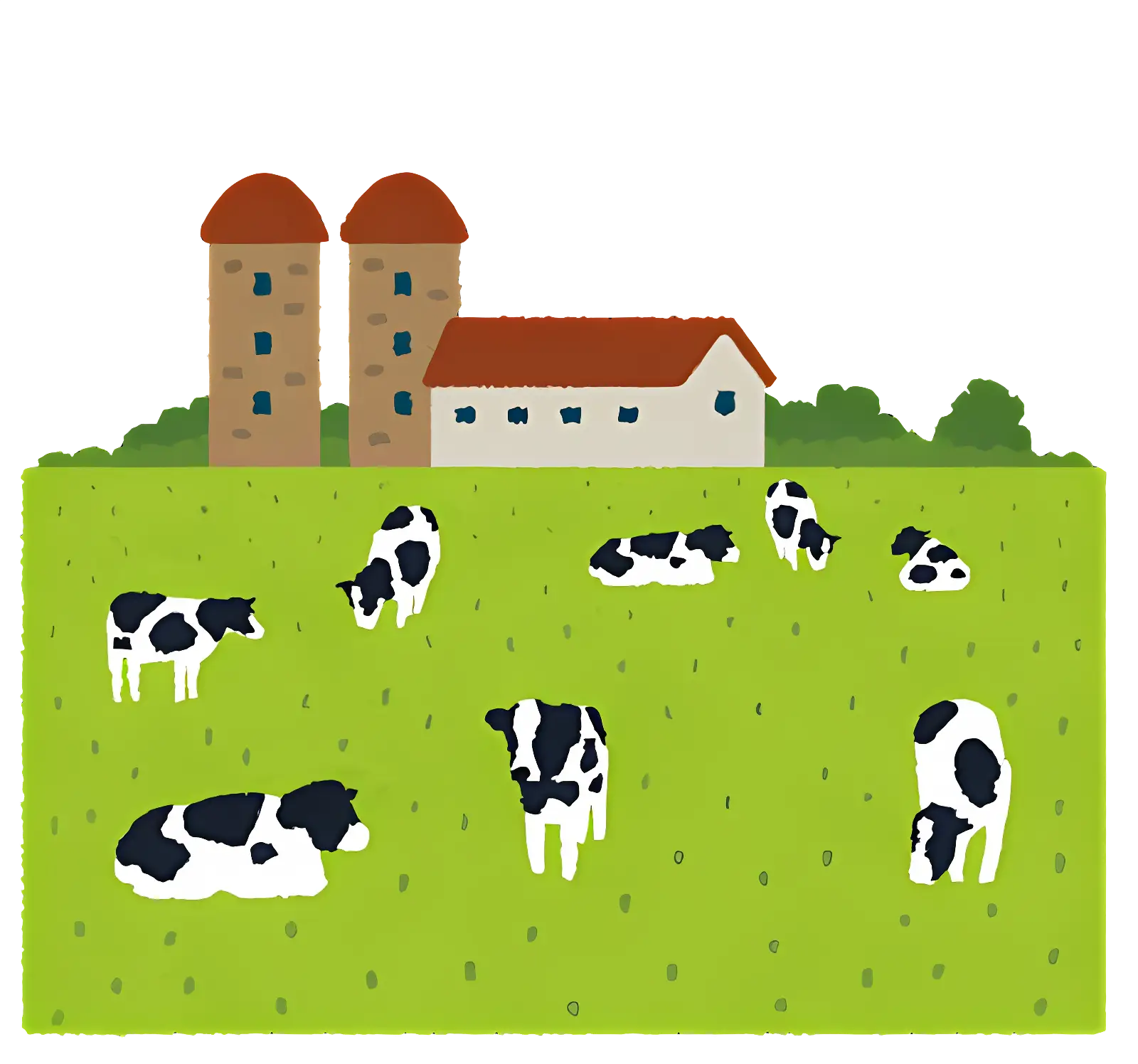 Cows Grazing in a Farm Field