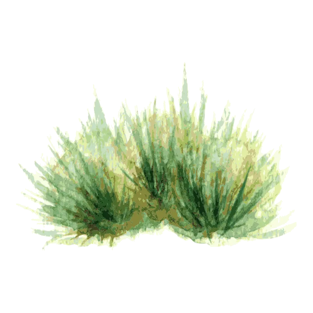 Lush Green Bush in Watercolor Style
