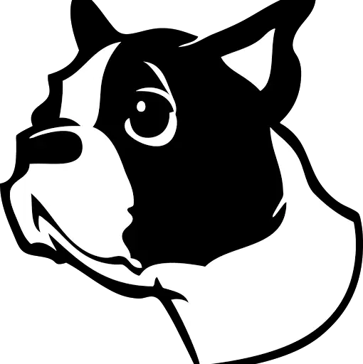 Cartoon Dog Face Illustration