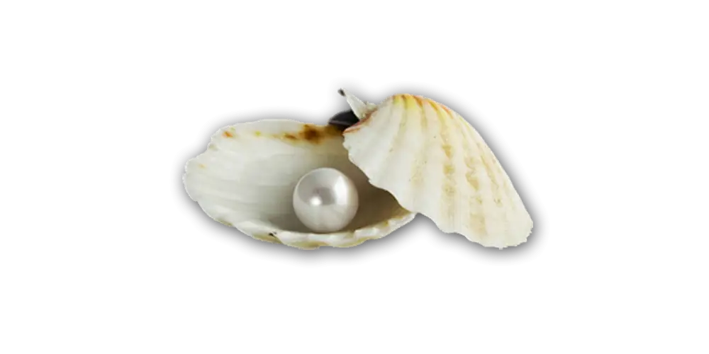 Pearl in an Open Shell