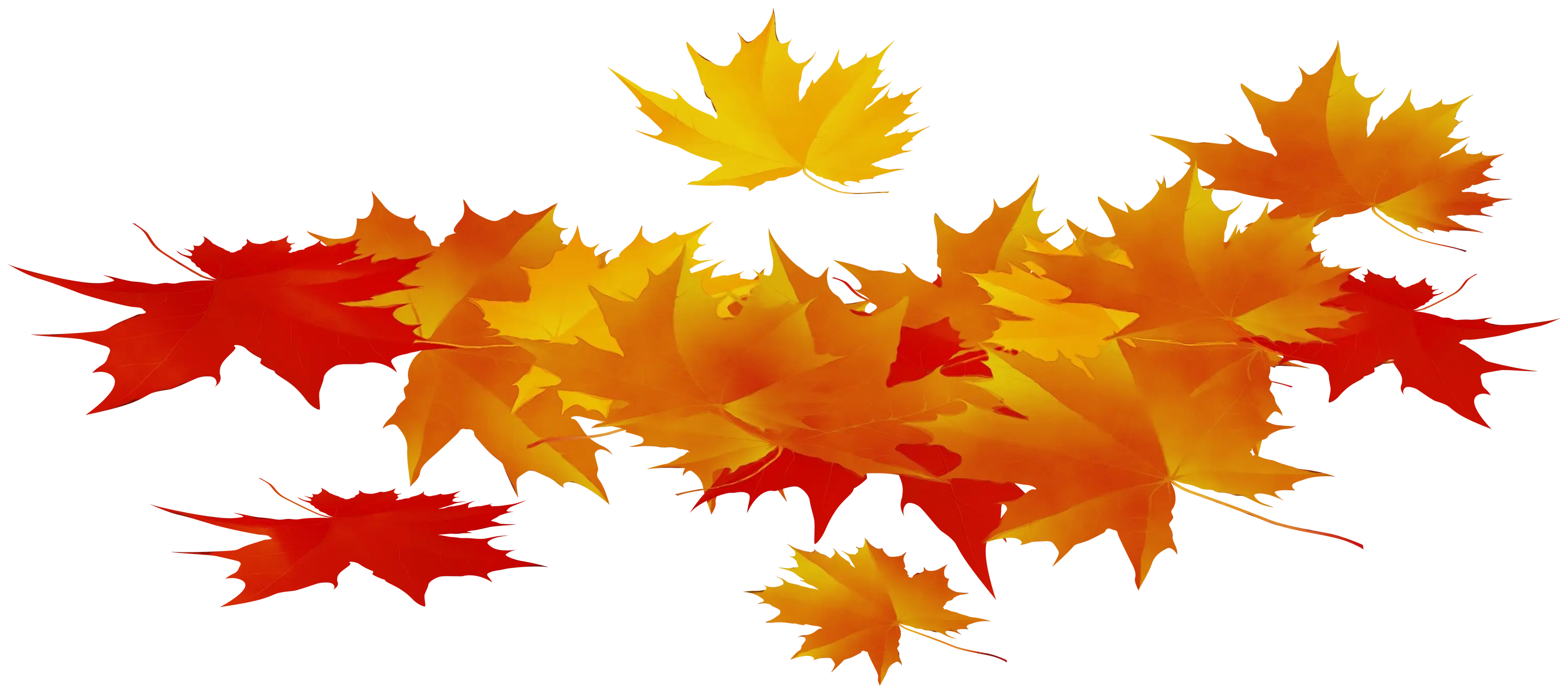 Red and Yellow Fall Leaves Illustration