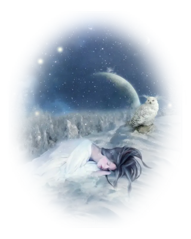 Dreamy Night Scene with Sleeping Woman and Owl