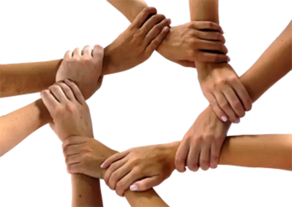 Hands Holding Each Other to Symbolize Unity and Support