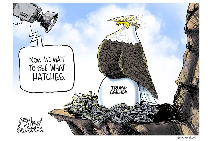 Eagle Cartoon with Trump Agenda Egg