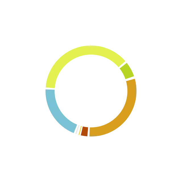 Colorful Circle Chart for Data Visualization