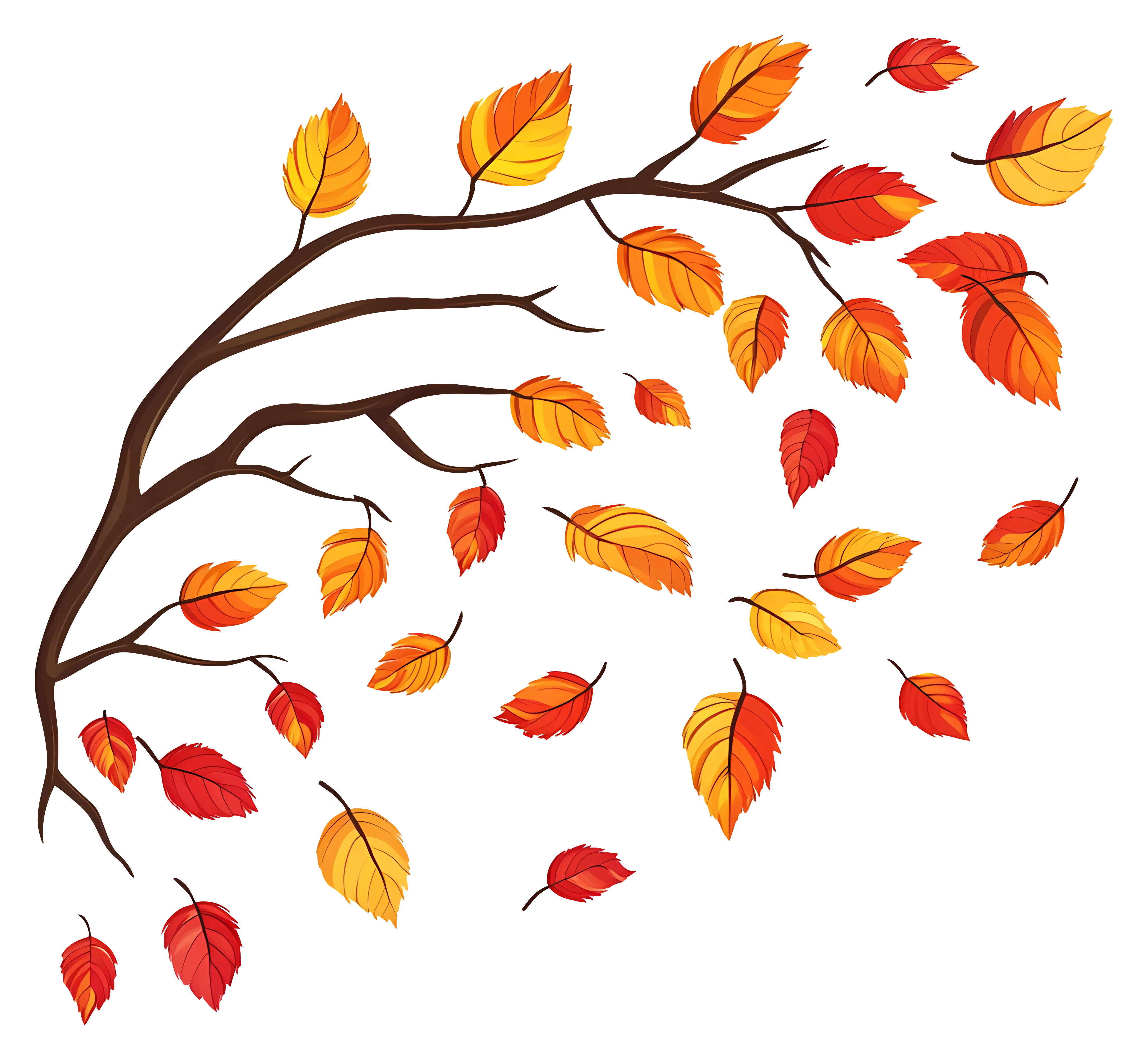 Colorful Autumn Leaves on Branch