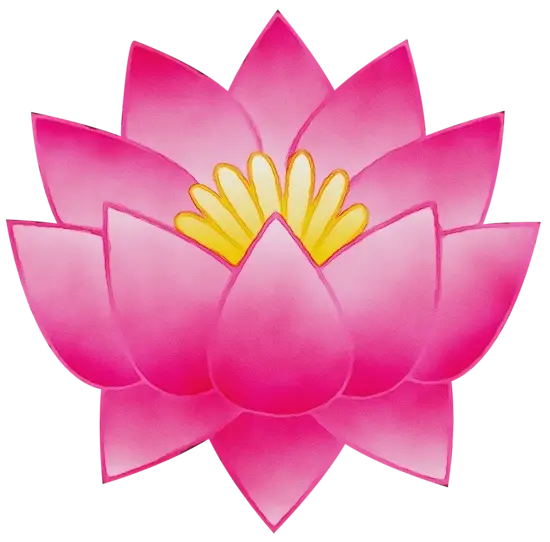 Pink Lotus Flower Illustration