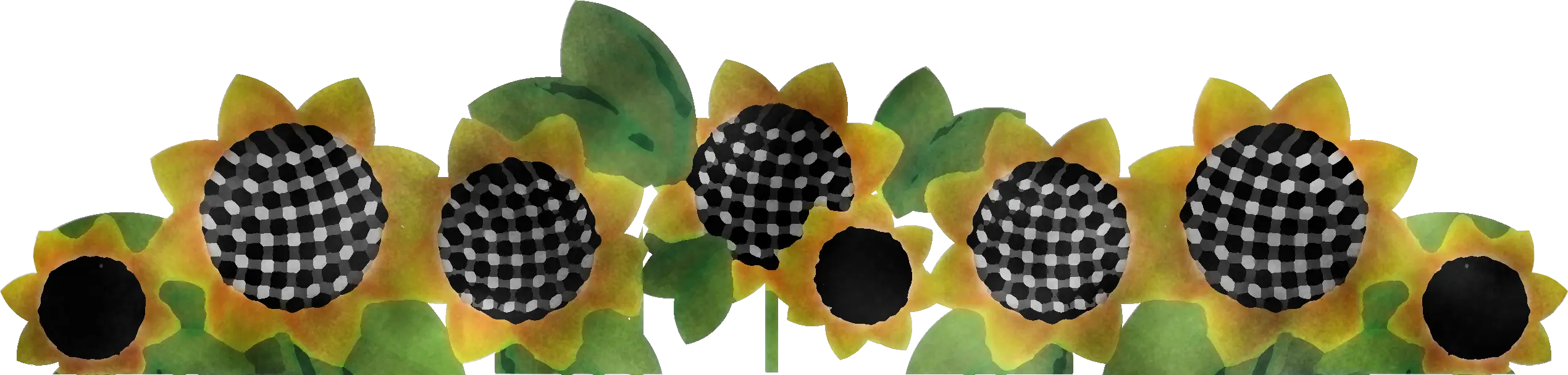 Unique Black and White Checkered Sunflowers