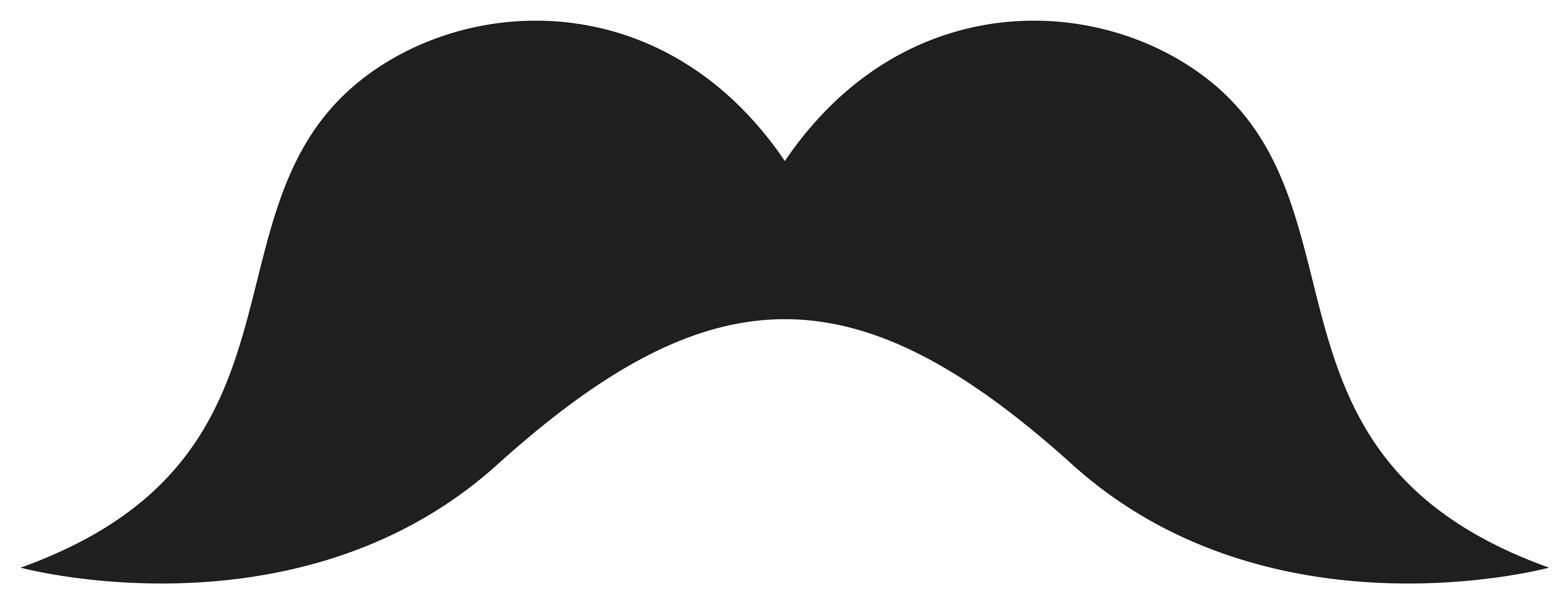 Black Mustache Accessory