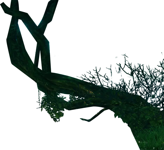 Green Tree Branch in Nature