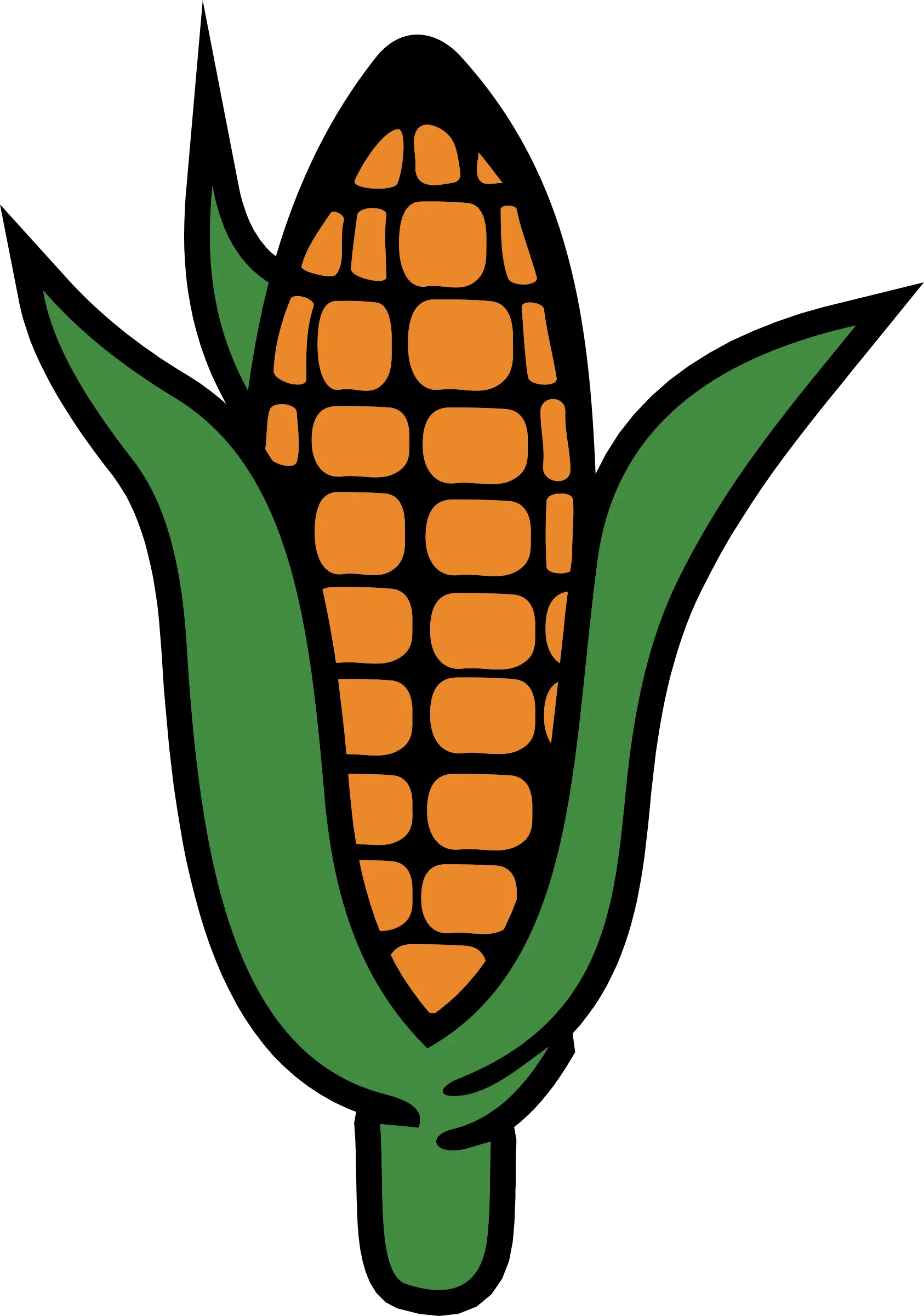 Vibrant Corn Illustration with Green Leaves