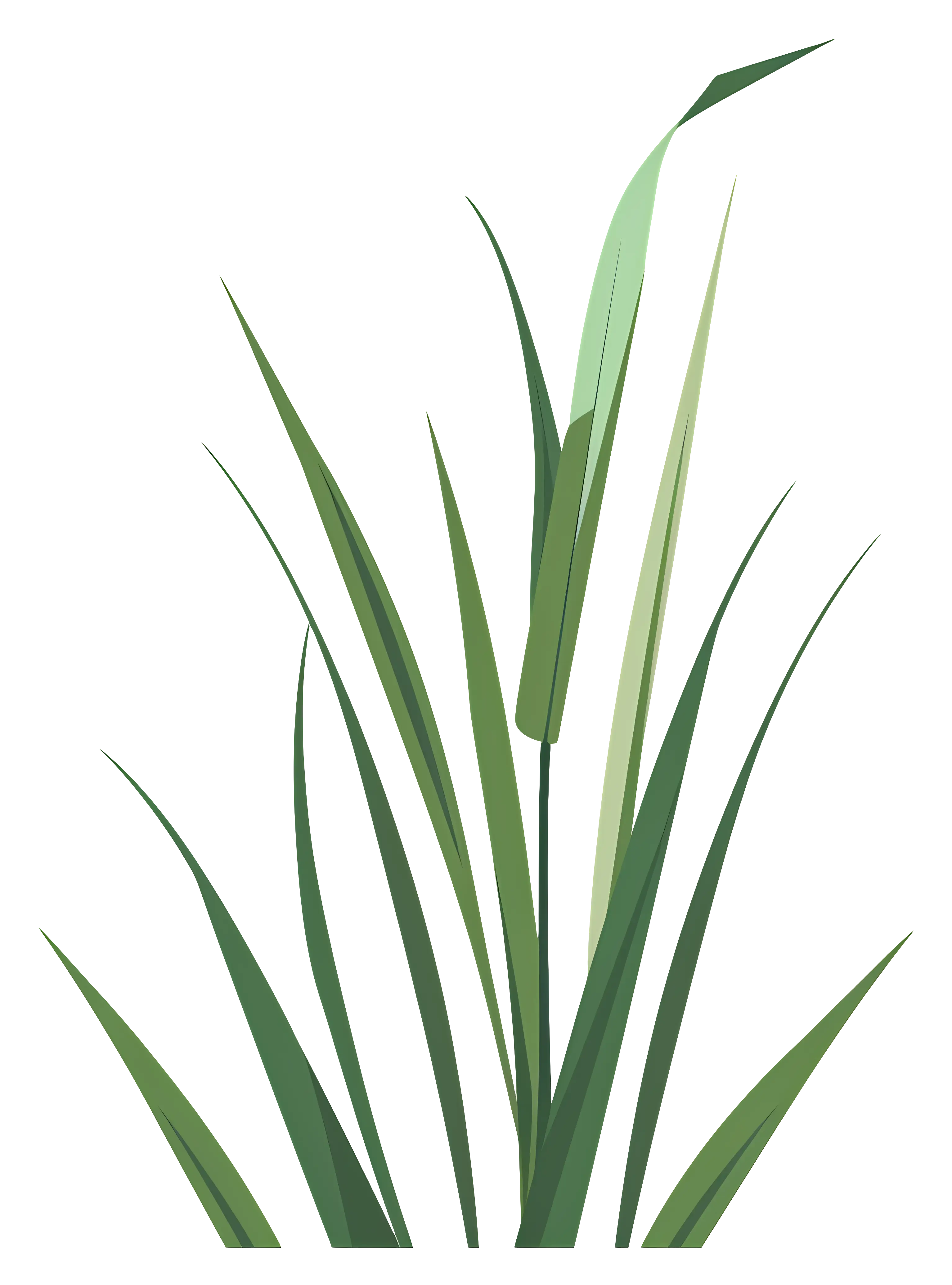 Green Cattails in Natural Style